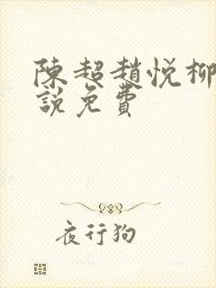 陈超赵悦柳絮小说免费封面