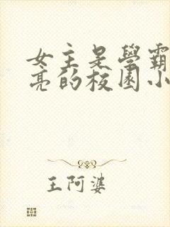 女主是学霸又漂亮的校园小说