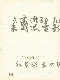 《高潮3》hd未删减电影