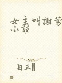 女主叫谢莺眠的小说