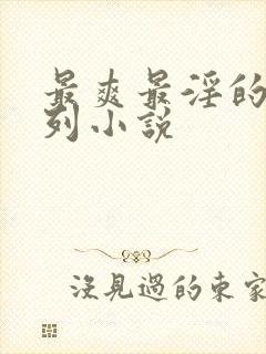 最爽最淫的乱系列小说