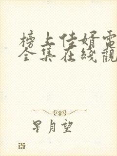 榜上佳婿电视剧全集在线观看免费