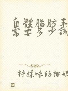 自体脂肪丰胸术需要多少钱