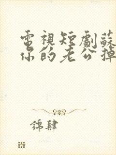 电视短剧苏小姐你的老公掉了