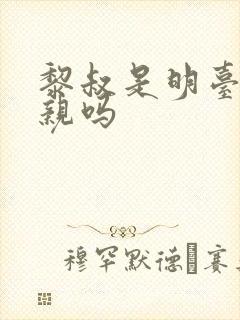 黎叔是明台的父亲吗封面