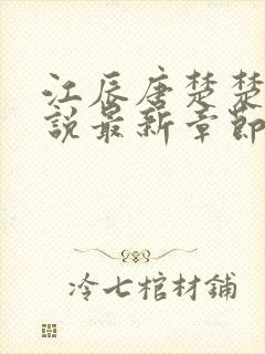 江辰唐楚楚的小说最新章节