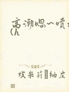 高潮嗯~喷水了(h封面