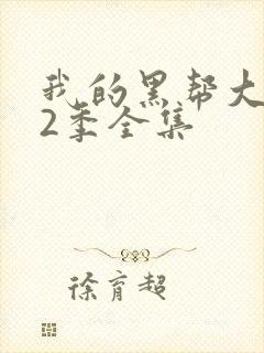 我的黑帮大佬第2季全集