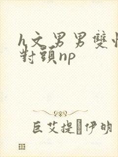 h文男男双性死对头np