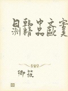 日韩中文字幕亚洲精品欧美