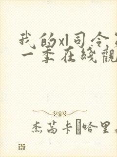 我的xl司令第一季在线观看