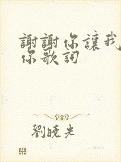 谢谢你让我遇到你歌词