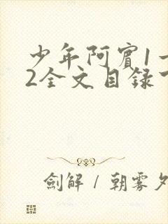 少年阿宾1一72全文目录下载