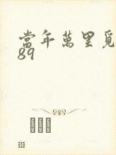 当年万里觅封侯89封面