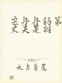 宋丹丹的第二任丈夫是谁