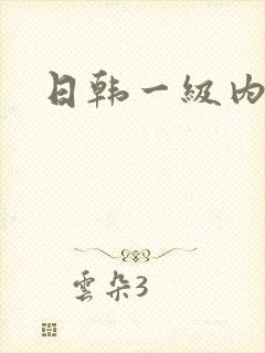 日韩一级内射片