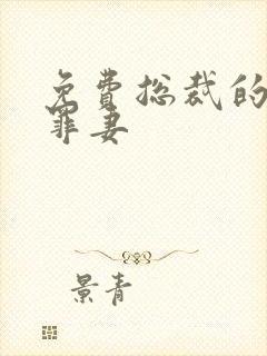 免费总裁的新婚罪妻