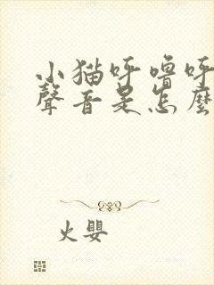 小猫呼噜呼噜的声音是怎么回事