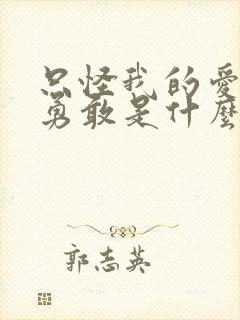 只怪我的爱不够勇敢是什么歌封面