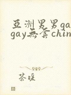 亚洲男男gaygay无套chinese封面
