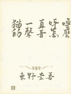 猫一直呼噜呼噜的声音怎么回事