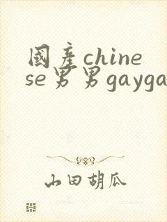 国产chinese男男gaygay网址搜索