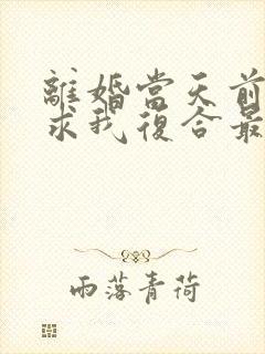 离婚当天前夫跪求我复合最新章节txt