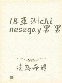 18亚洲chinesegay男男1069