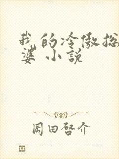 我的冷傲总裁老婆 小说