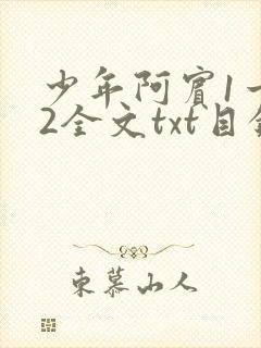 少年阿宾1一72全文txt目录