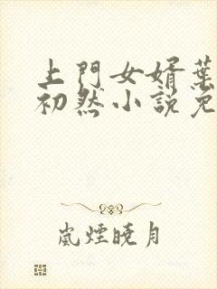 上门女婿叶辰萧初然小说免费读封面