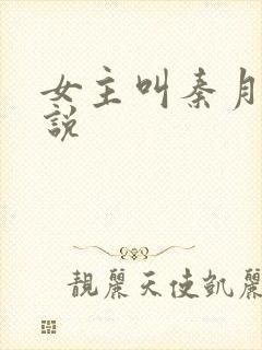 女主叫秦月的小说