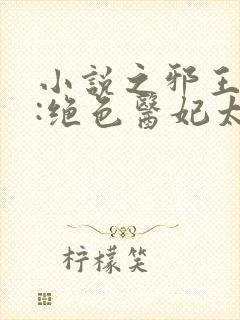 小说之邪王独宠:绝色医妃太逆天