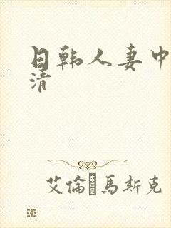 日韩人妻中文高清