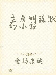 主角叫苏默的玄幻小说