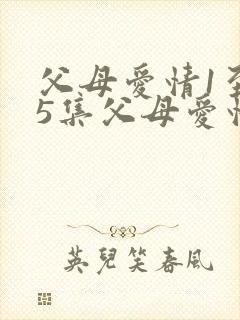 父母爱情1至45集父母爱情原著封面