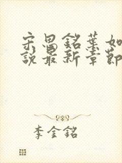 宋思铭叶如云小说最新章节更新时间