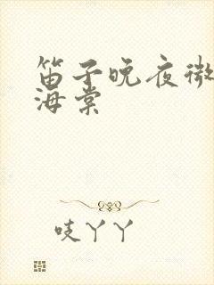 笛子晚夜微雨问海棠