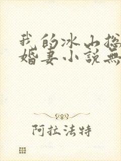 我的冰山总裁未婚妻小说无弹窗