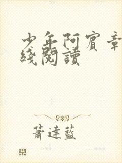 少年阿宾章节在线阅读