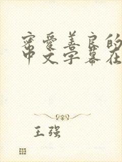 密爱善良的嫂子中文字幕在线观看封面