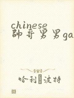 chinese帅哥男男gaygay网站