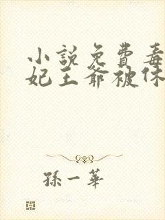 小说免费毒手医妃王爷被休夫了封面