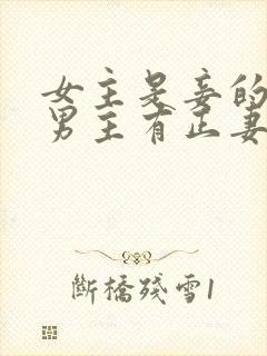 女主是妾的虐文男主有正妻封面