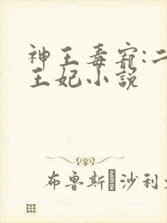 神王毒宠:二嫁王妃小说