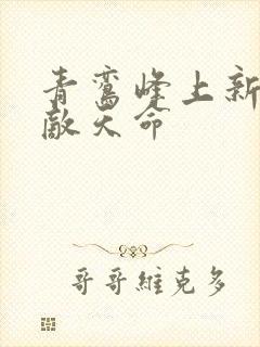 青鸾峰上新书无敌天命
