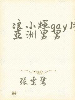 浪小辉gay片亚洲男男