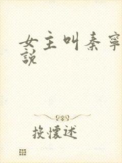 女主叫秦宁的小说