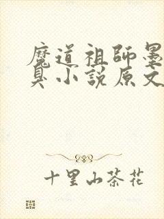 魔道祖师墨香铜臭小说原文免费阅读封面