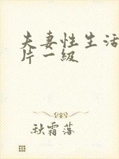 夫妻性生活黄色片一级封面